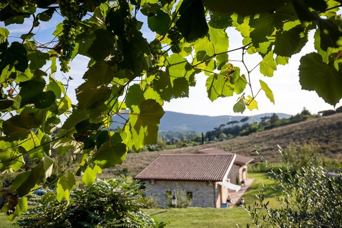 Tenuta I Tufari Tivoli Exteriér fotografie