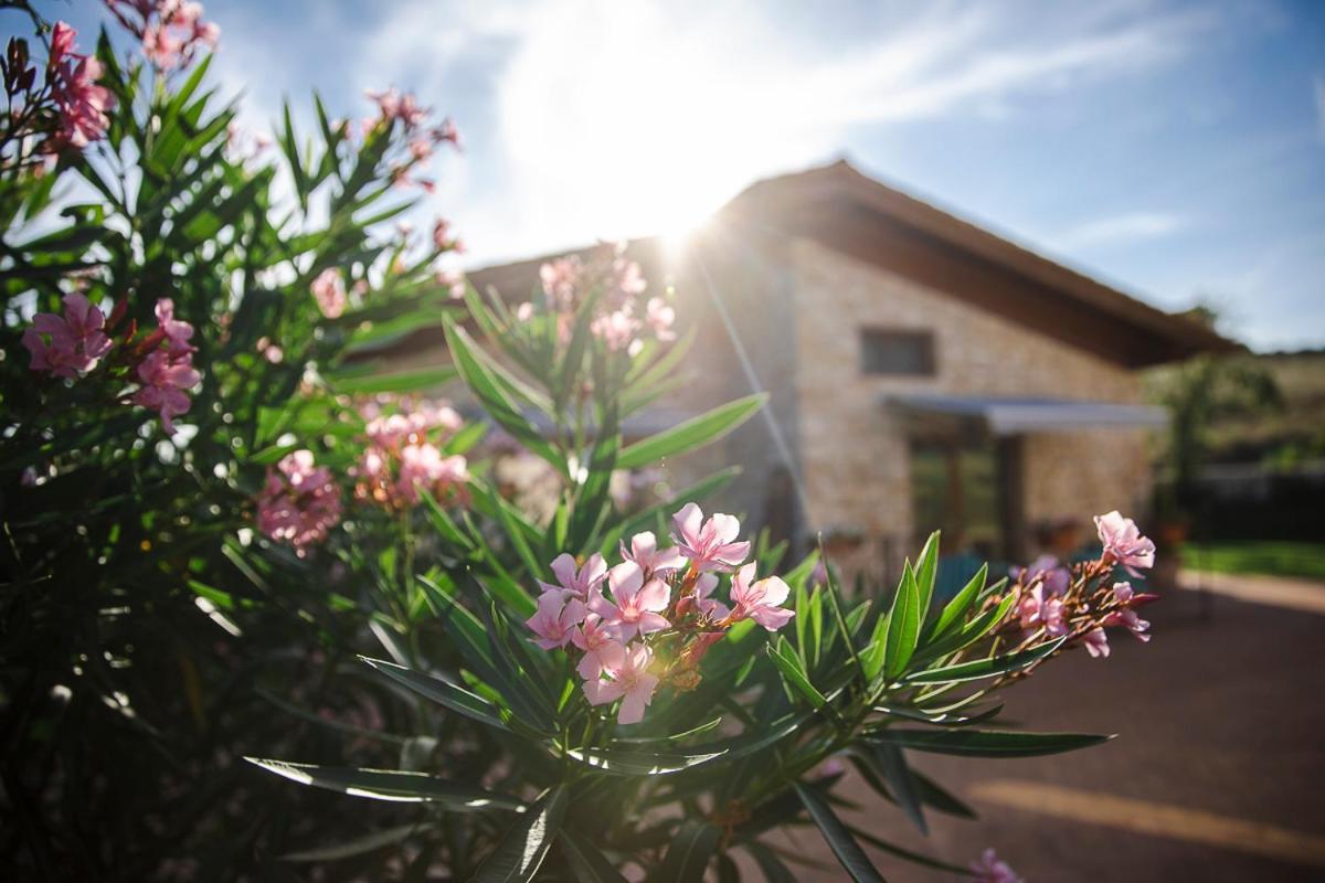 Tenuta I Tufari Tivoli Exteriér fotografie